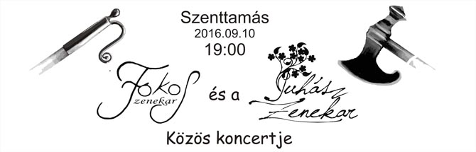 bejelentő magyar